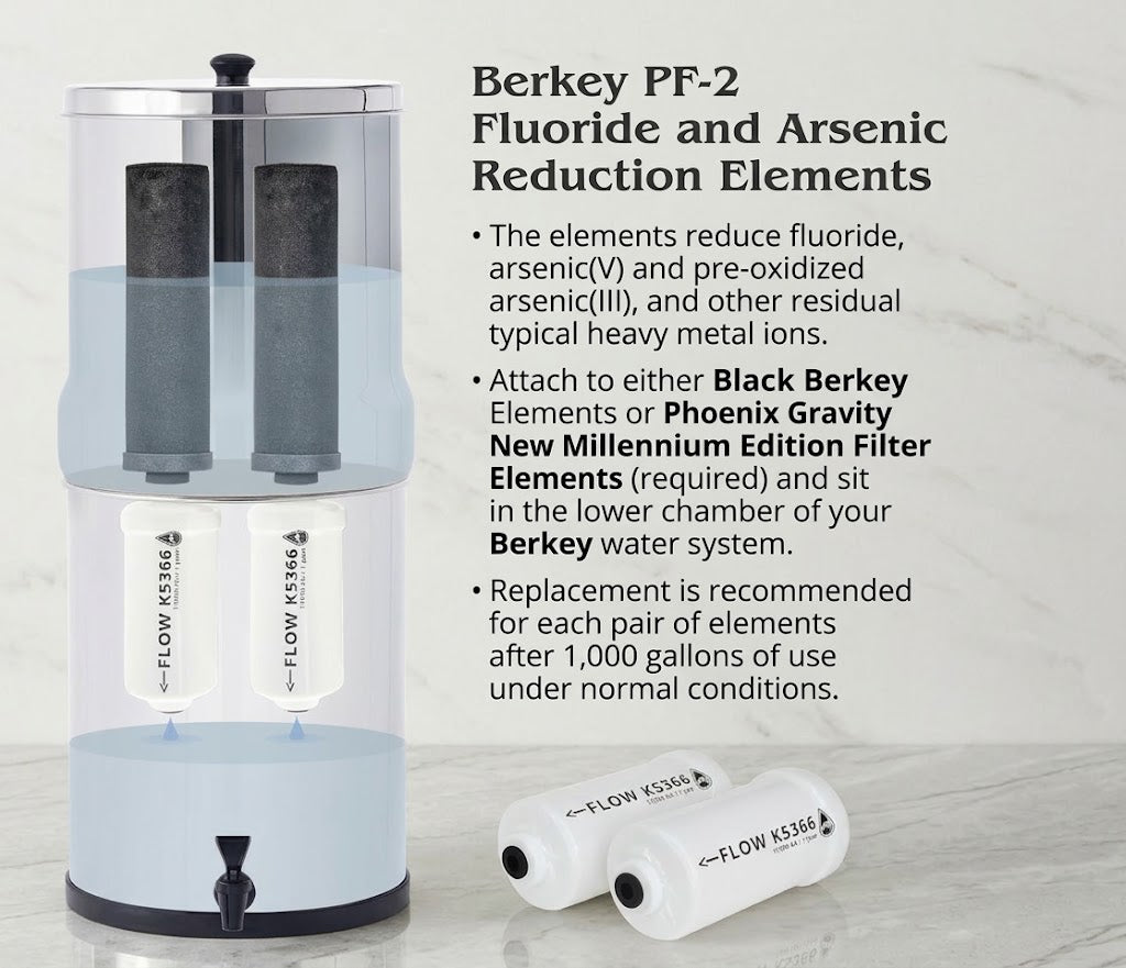 Combo Pack: 2 Berkey PF-2 Fluoride & Arsenic Reduction Elements + 2 Phoenix Gravity New Millennium Edition Filter Elements (NSF 42/372 Certified)